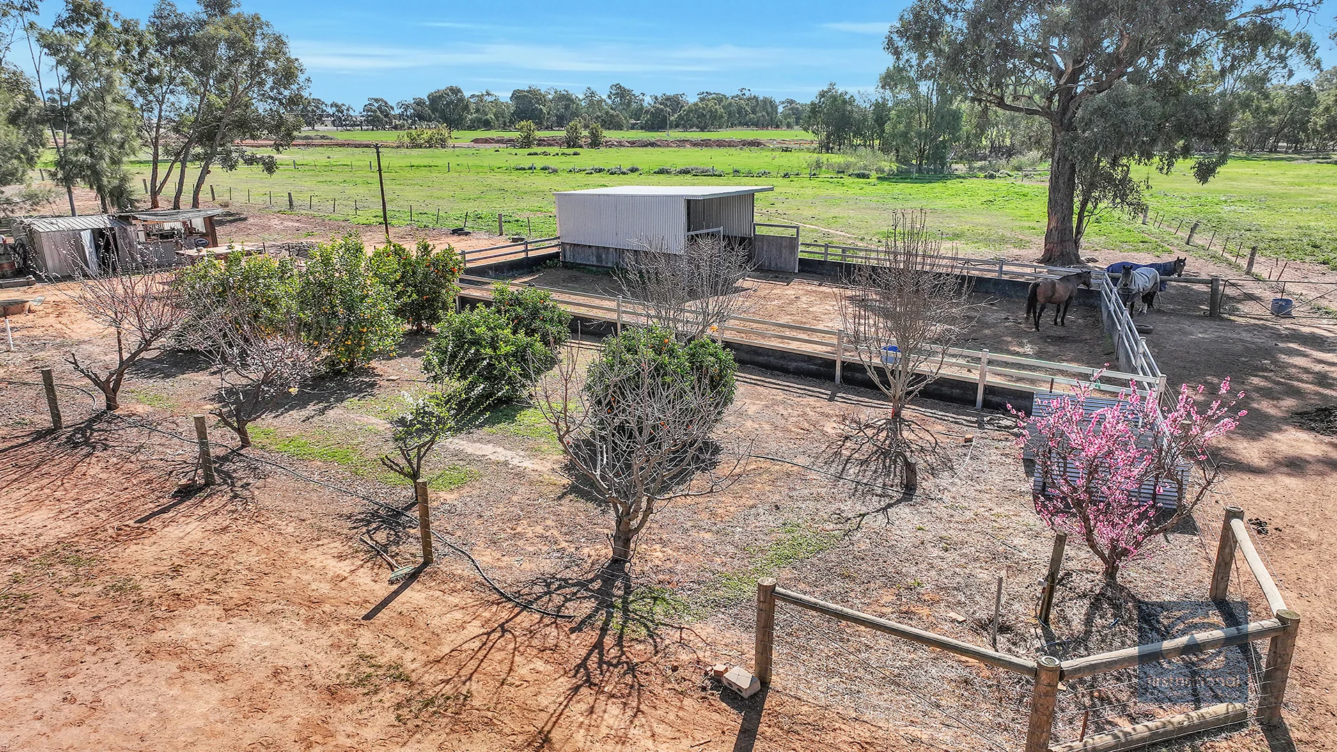 Additional image 9 of 322 Cobb Highway, Moama NSW 2731