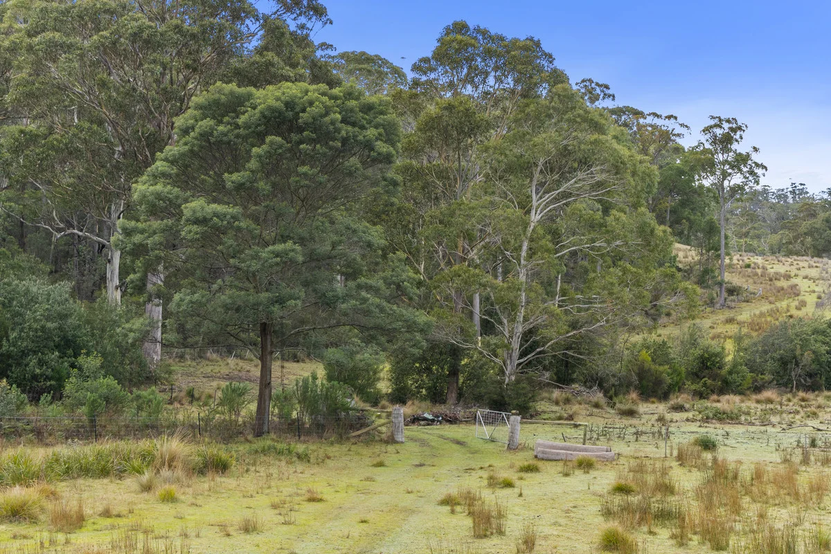 Additional image 17 of 1 & 2 Bresnehans Road, Little Swanport TAS 7190