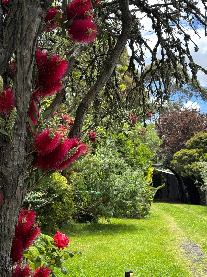 Additional image 34 of 1409 Birregurra Deans Marsh Road, Deans Marsh VIC 3235