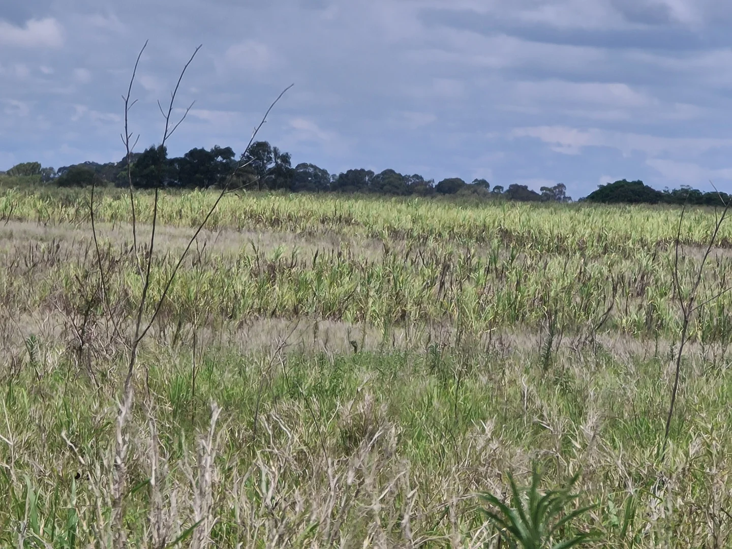 Additional image 2 of 22 Faggs Road, Gooburrum QLD 4670