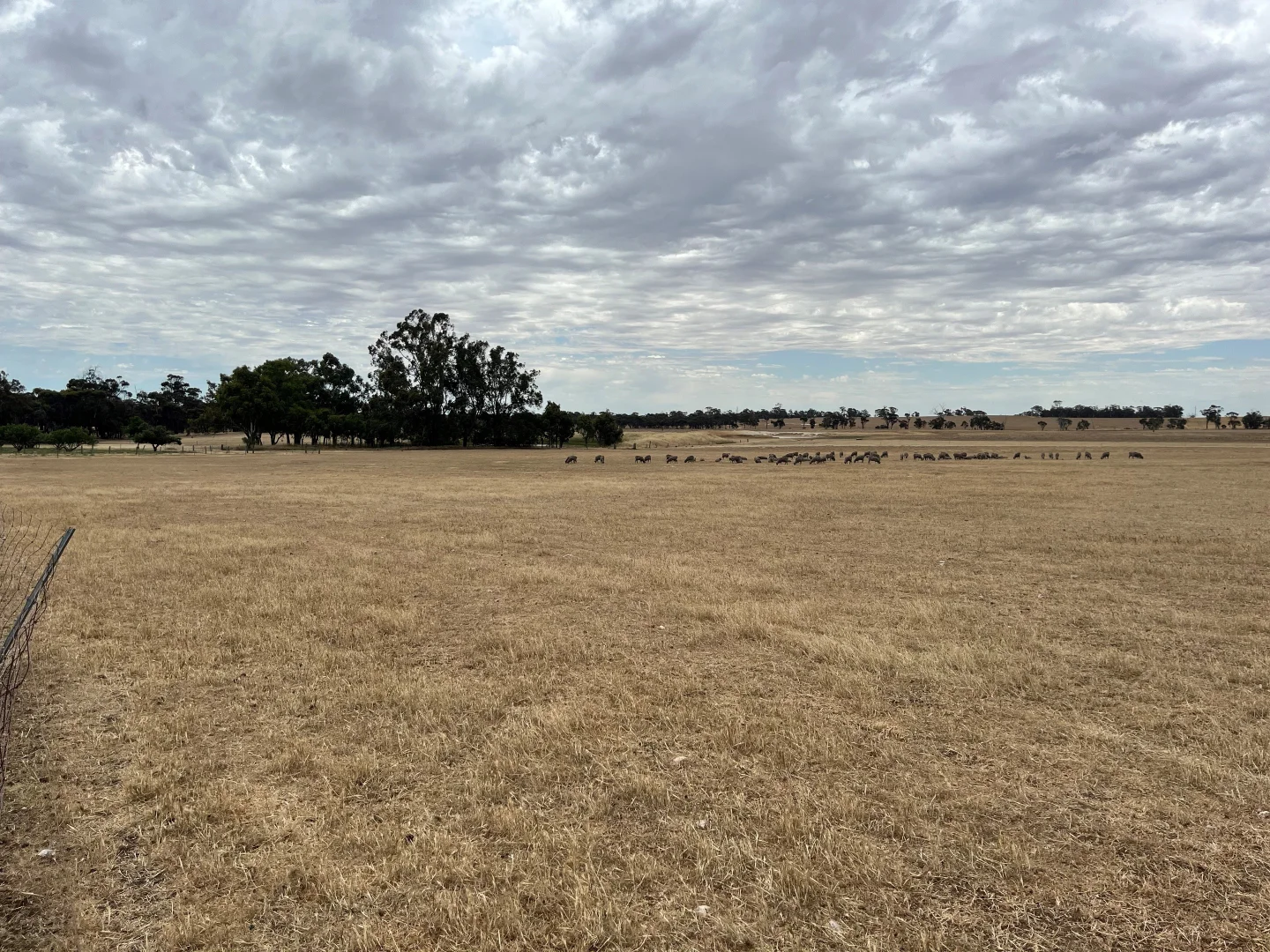 Additional image 10 of 81 Mosgiel Road, Tenterden WA 6322