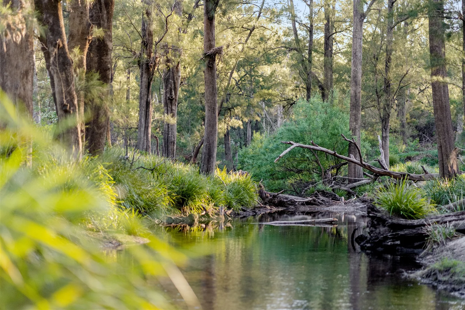 Additional image 40 of Belanglo NSW 2577