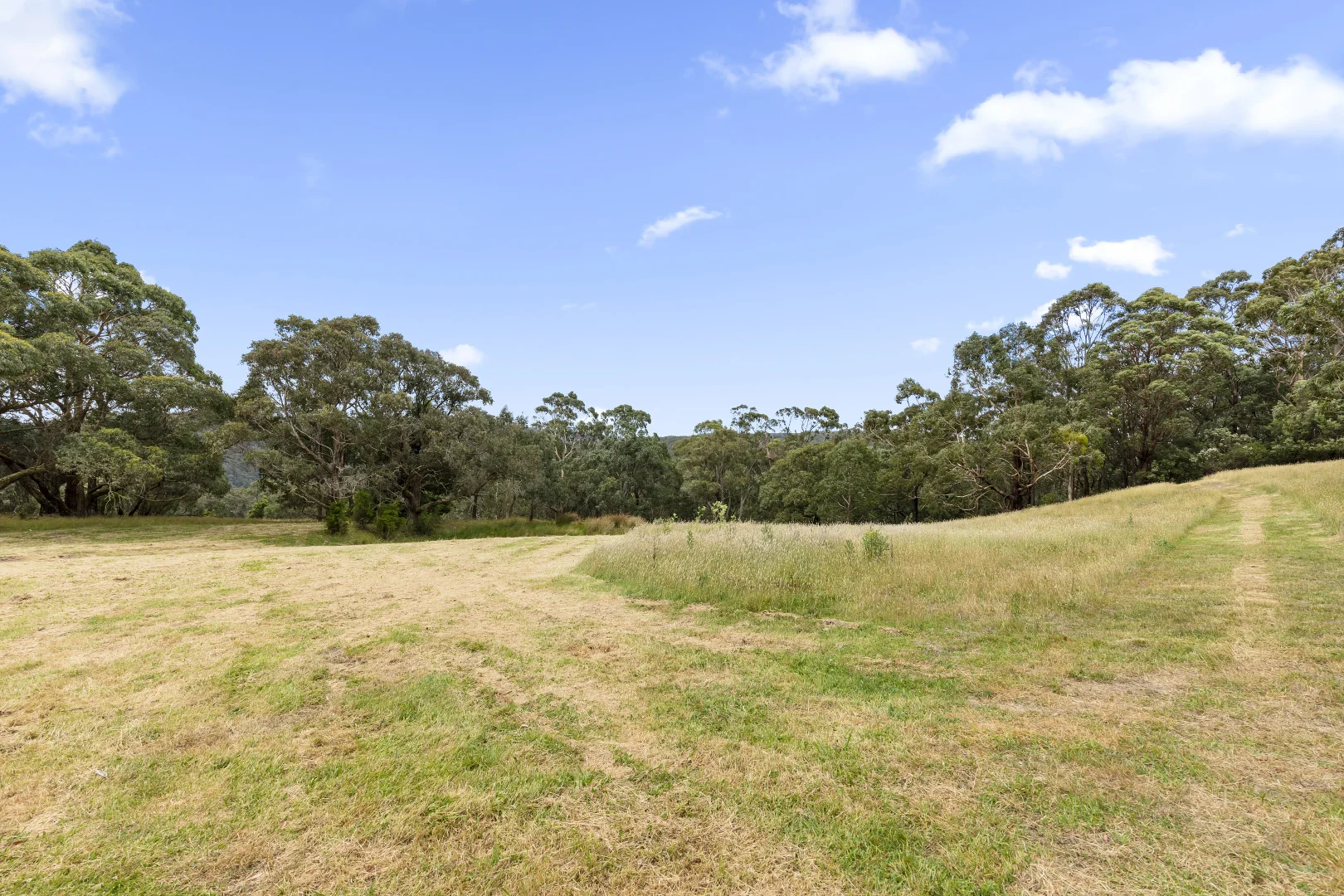 Additional image 7 of 575 Deans Marsh Lorne Road, Deans Marsh VIC 3235