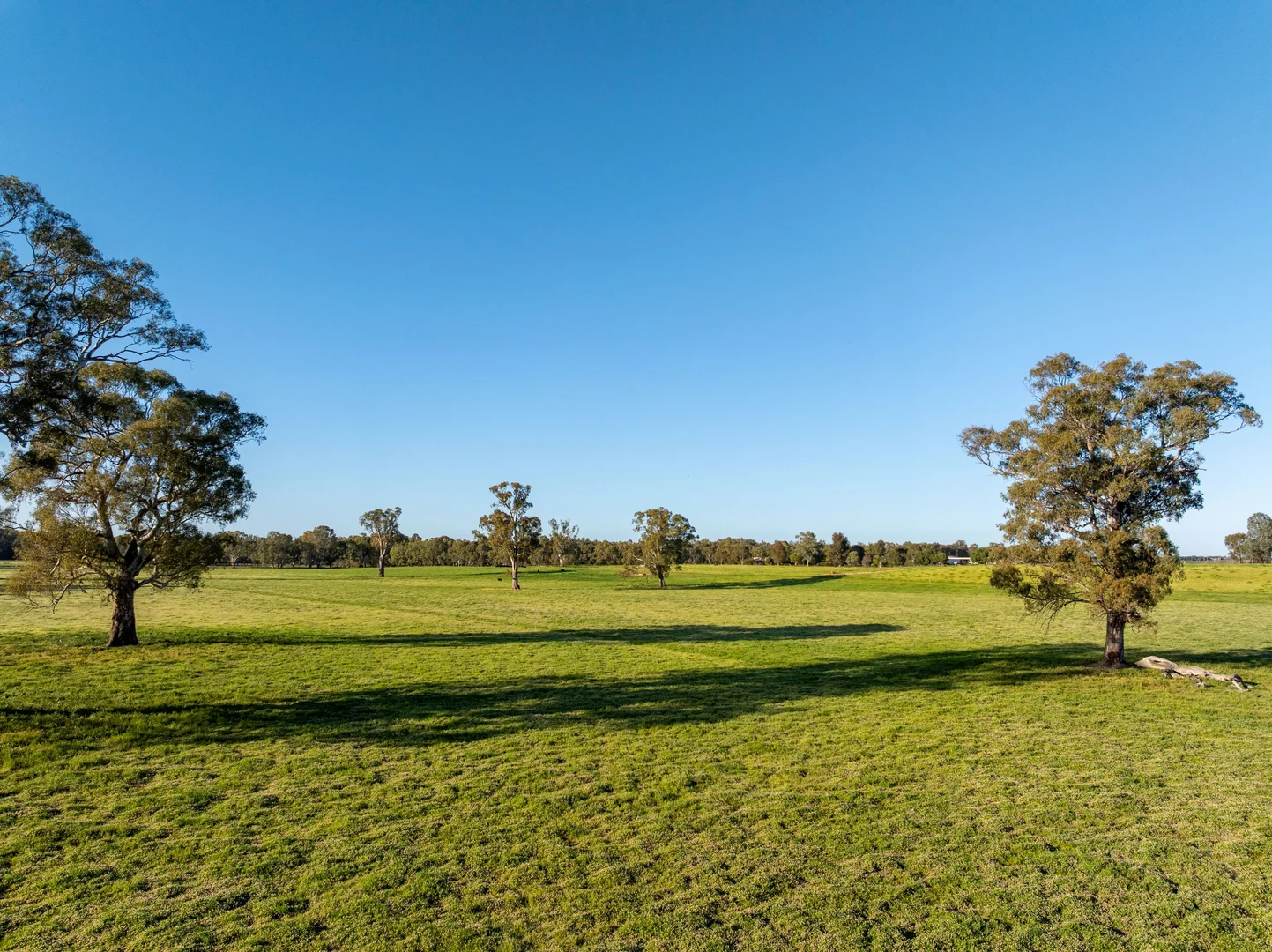 Additional image 27 of 6021 Riverina Highway, Hopefield NSW 2646