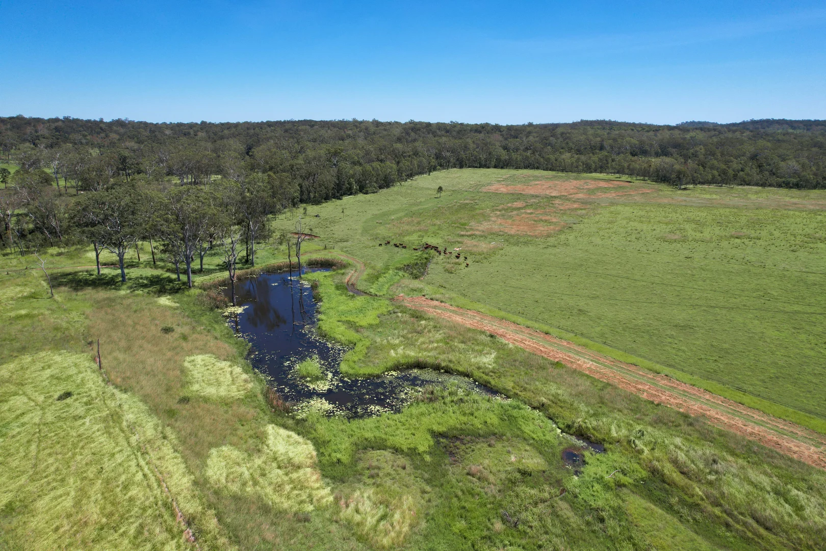 Additional image 6 of 2617 Mount Fox Road, Mount Fox QLD 4850