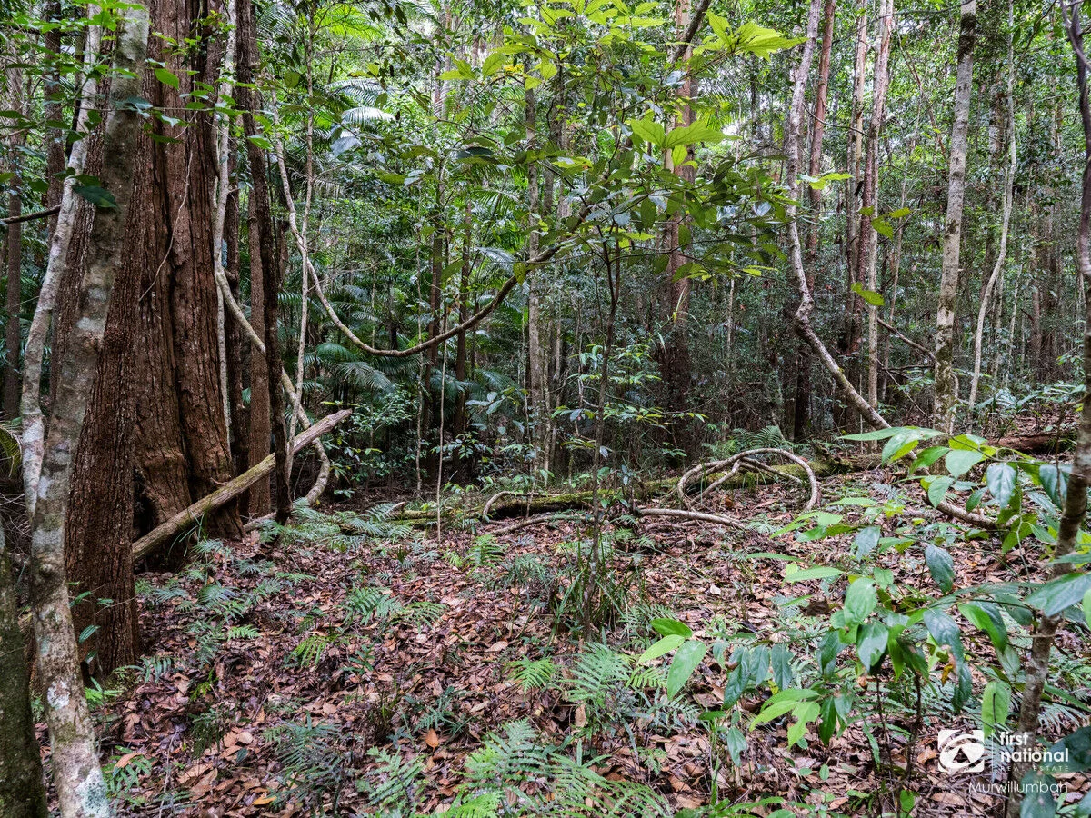 Additional image 32 of 563 Commissioners Creek Road, Commissioners Creek NSW 2484