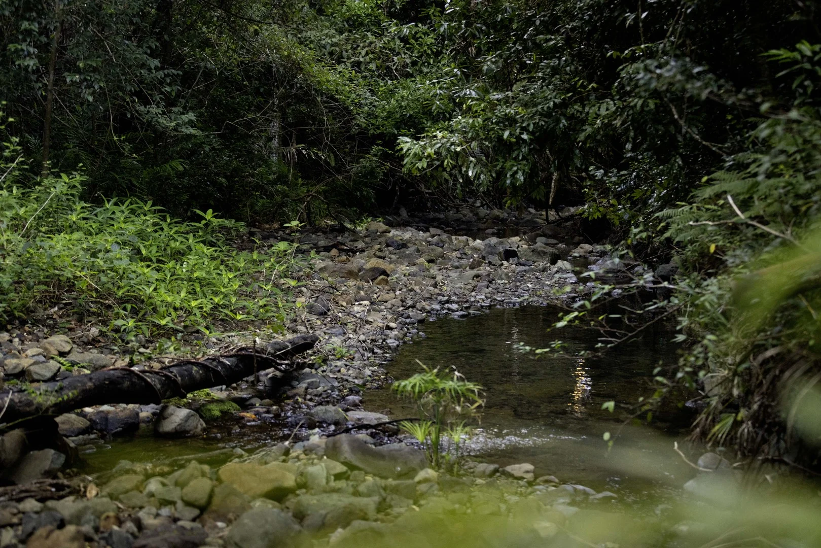 Additional image 2 of 492 River Road, Peachester QLD 4519