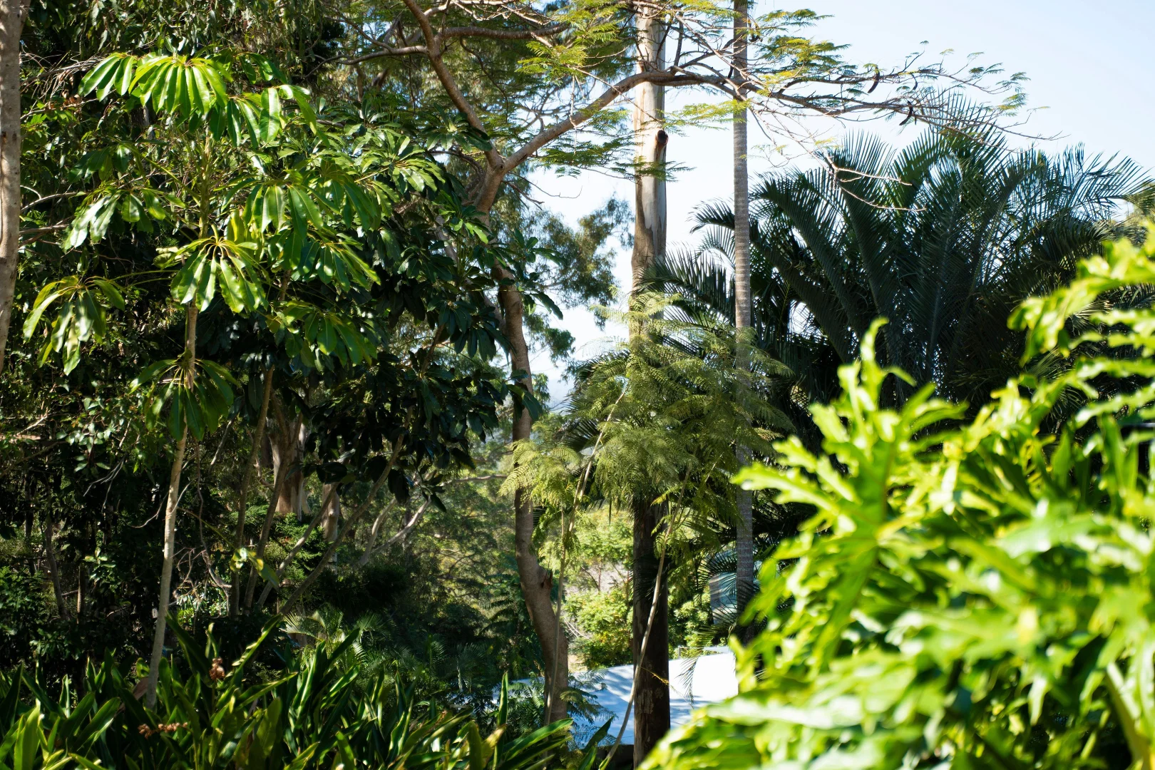 Additional image 17 of 45 Crosby Hill Road, Buderim QLD 4556