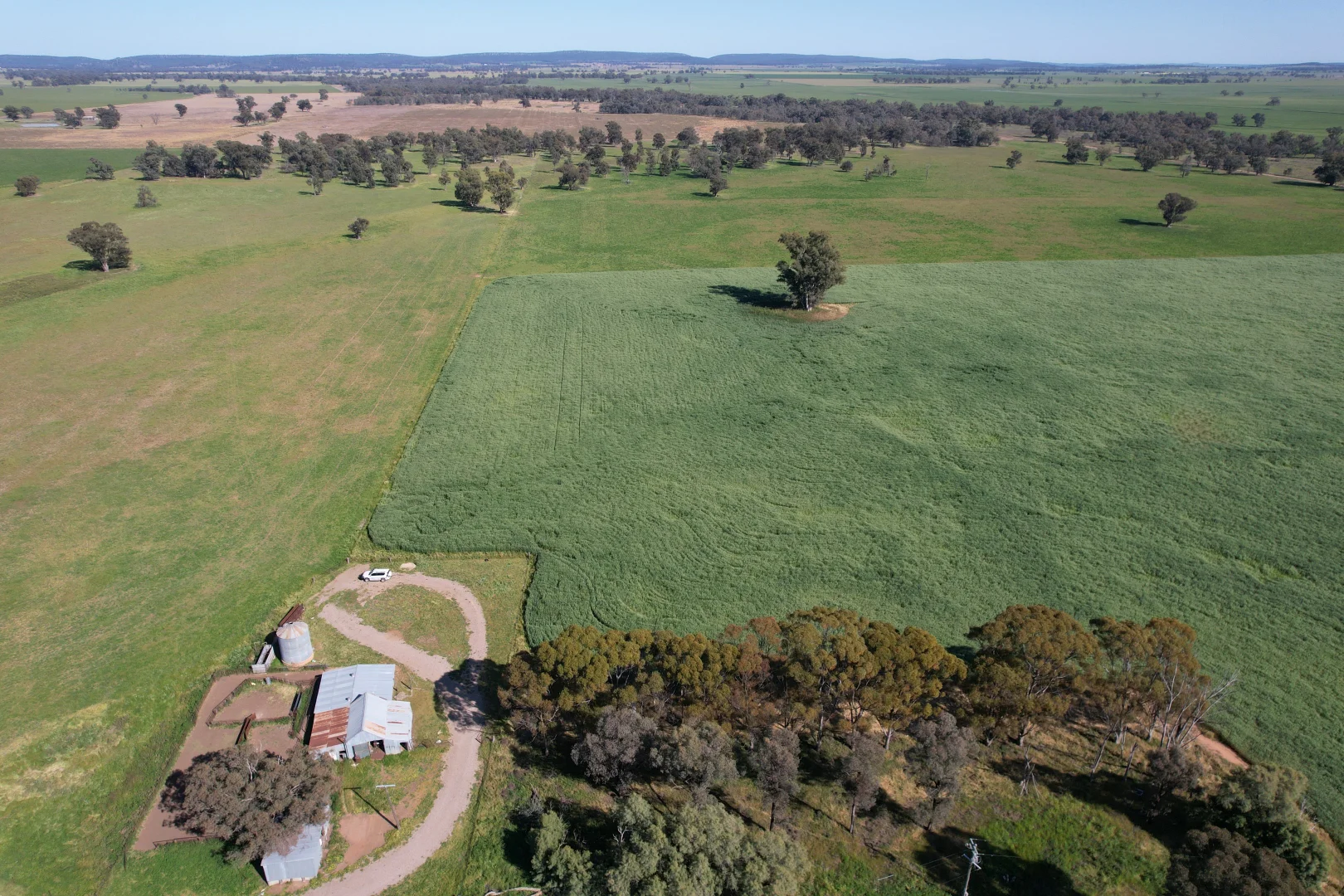 Additional image 11 of 1715 The Bogan Way, Forbes NSW 2871