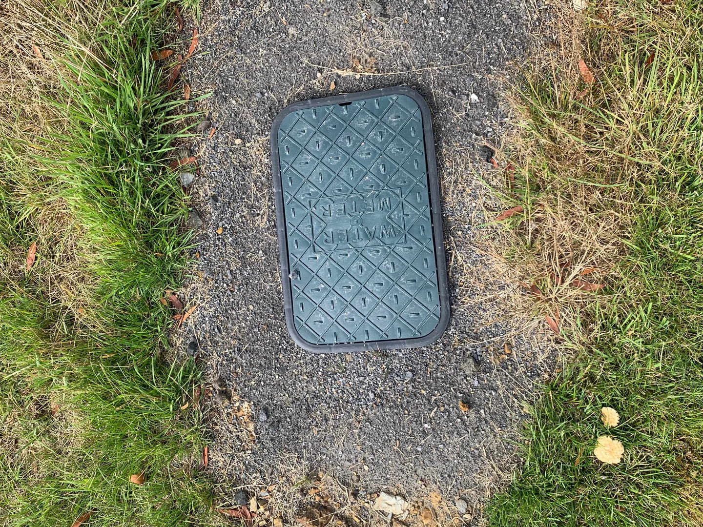 Additional image 4 of Zeehan TAS 7469