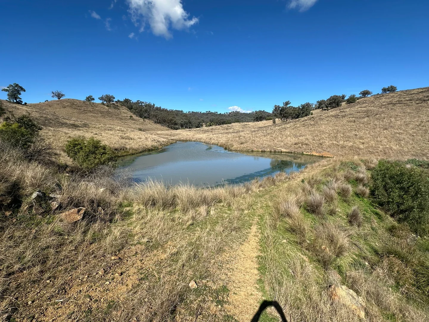 Additional image 13 of 2991 Halls Creek Road, Halls Creek NSW 2346