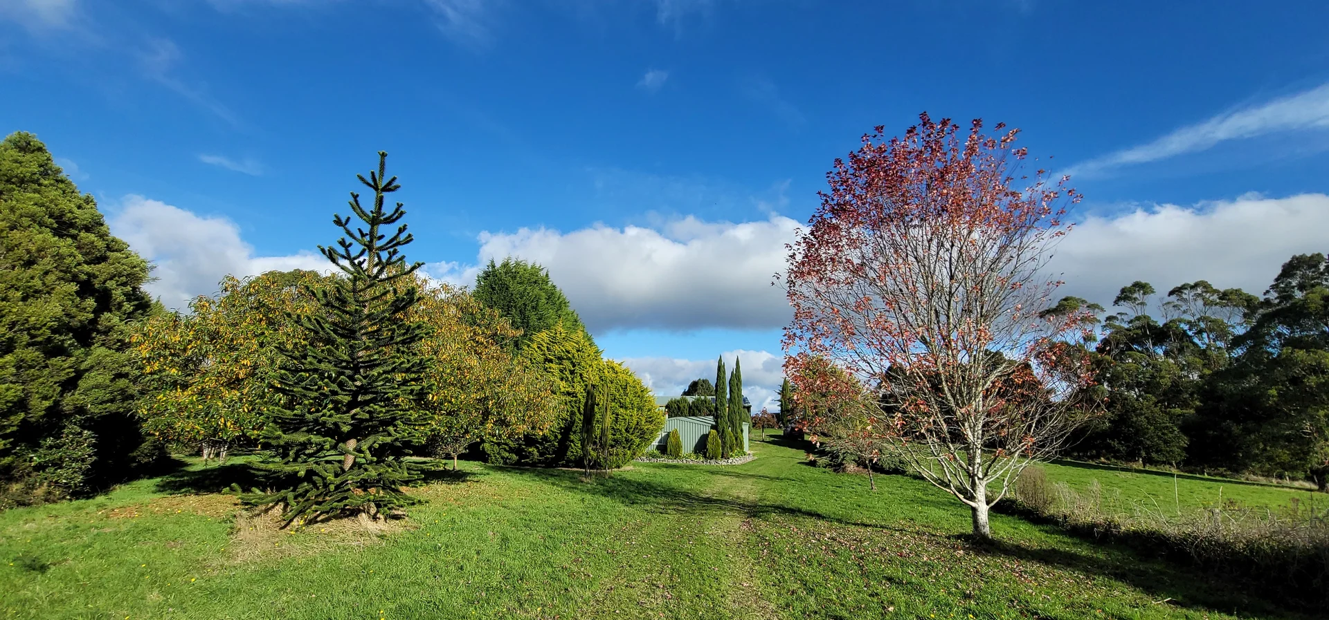 Additional image 33 of 420 Amiets Road, Wyelangta VIC 3237