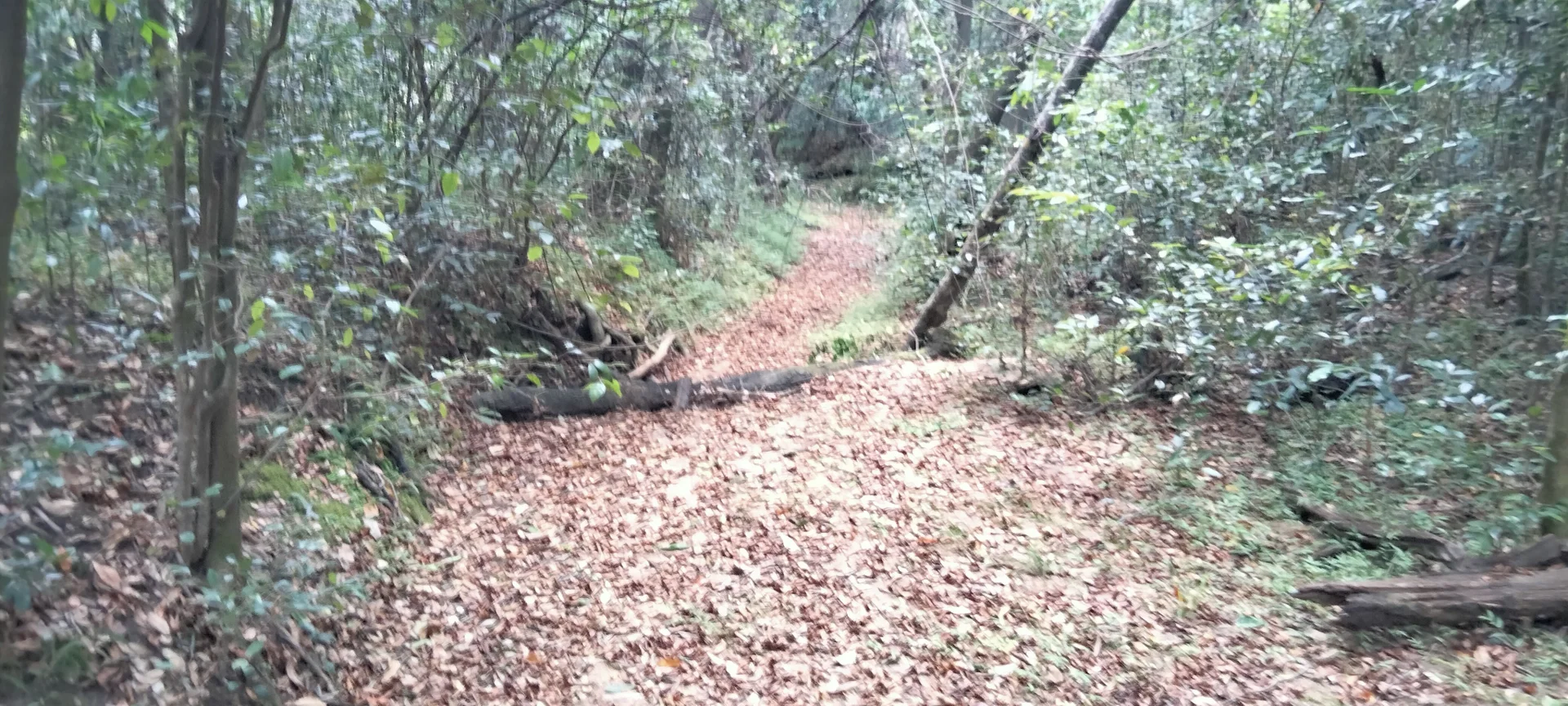 Additional image 31 of 3359 Lowmead Road, Lowmead QLD 4676