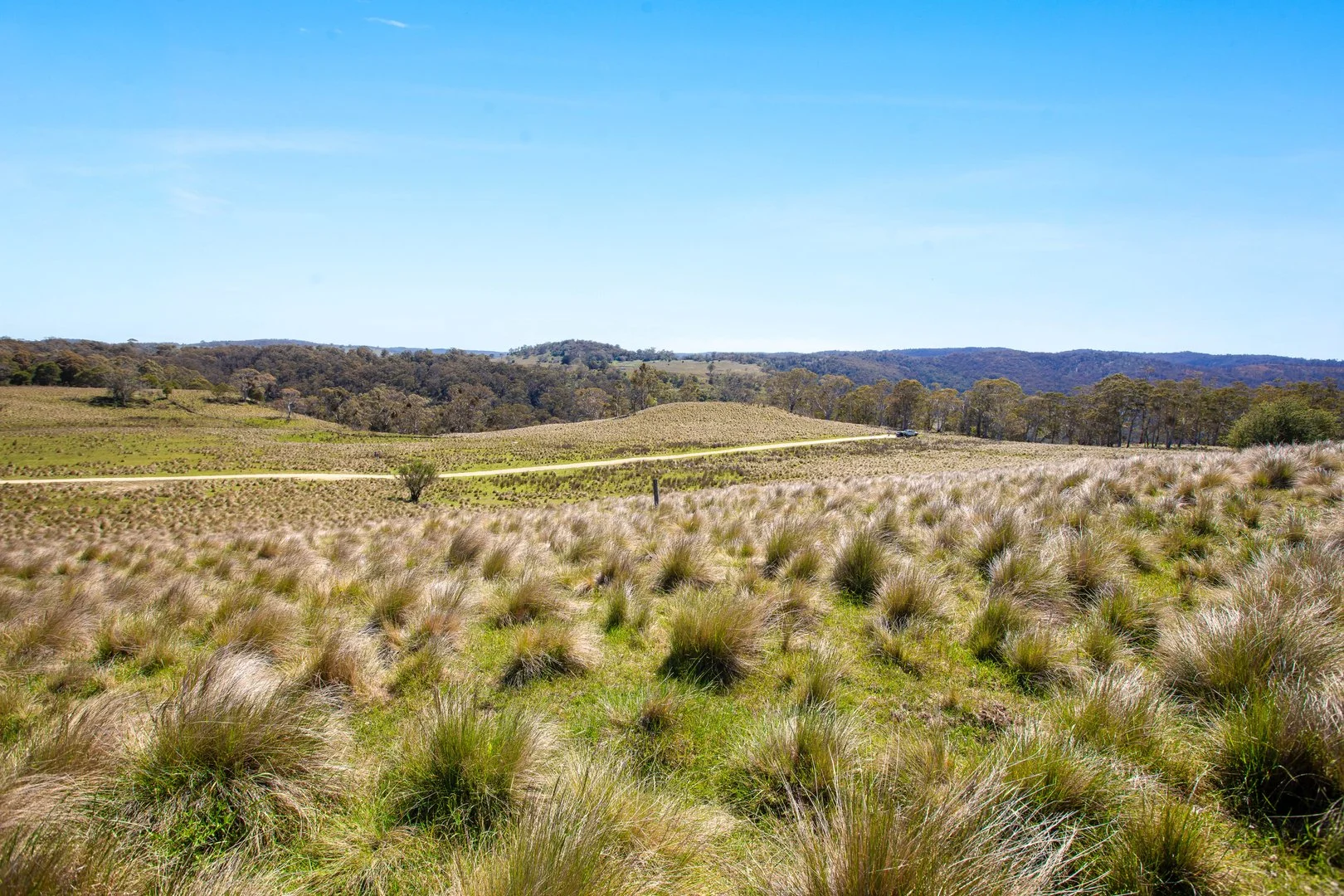 Additional image 9 of Thornleigh Coolangubra Road, Cathcart NSW 2632