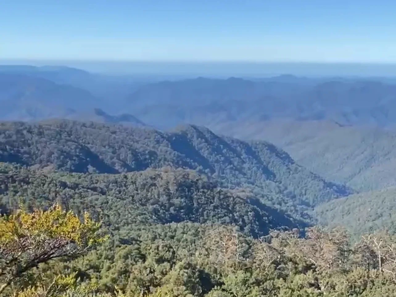 Additional image 15 of 10392 Armidale Road, Hernani NSW 2453