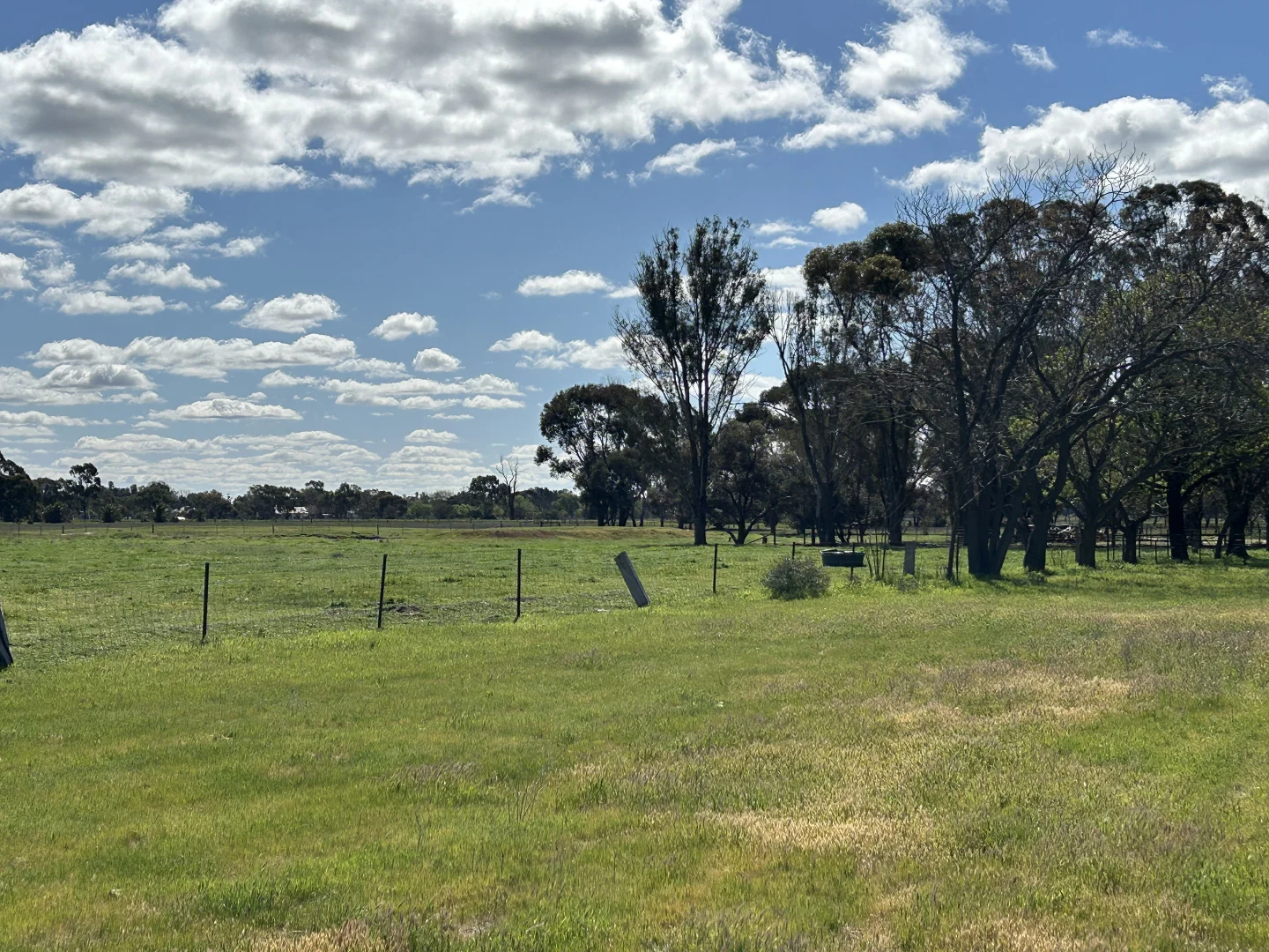 Additional image 17 of 119 Regulator Road, Yanco NSW 2703