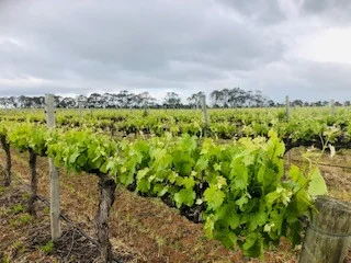 Additional image 5 of 634 Lake Plains Road, Lake Plains SA 5255