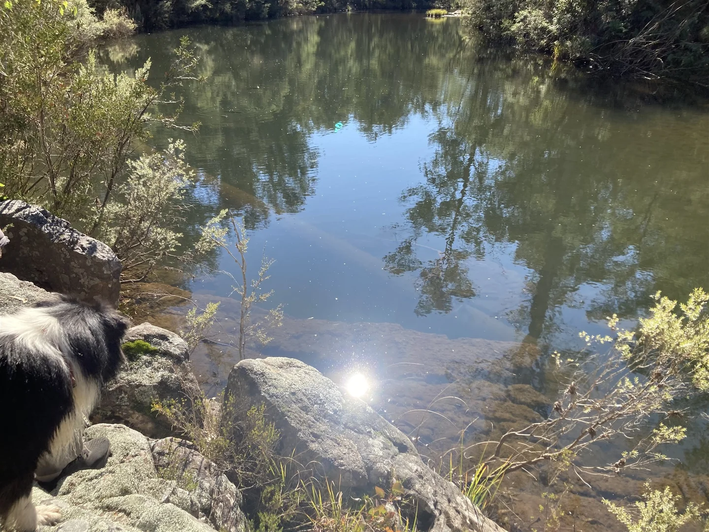 Additional image 31 of 138 Elliot Road, Valencia Creek VIC 3860