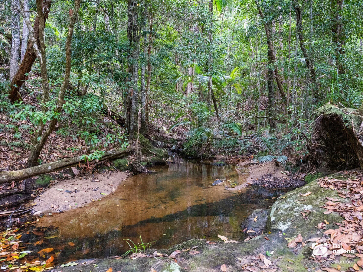 Additional image 21 of 563 Commissioners Creek Road, Commissioners Creek NSW 2484