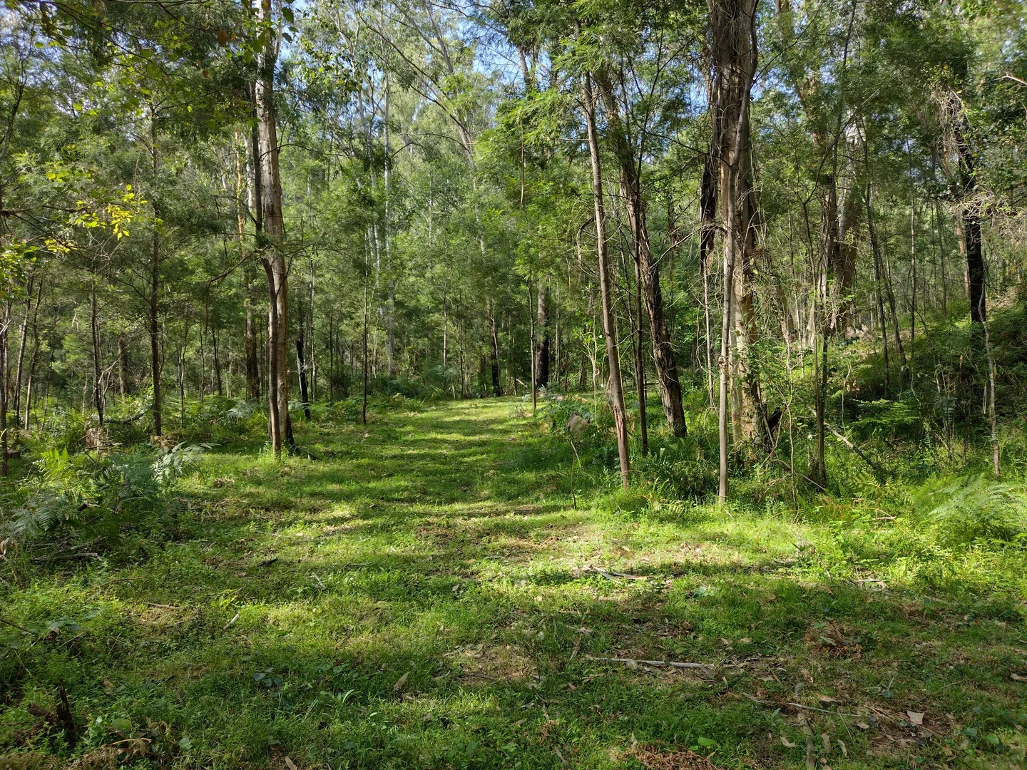 Additional image 32 of 75 L3 Private Access, Laguna NSW 2325