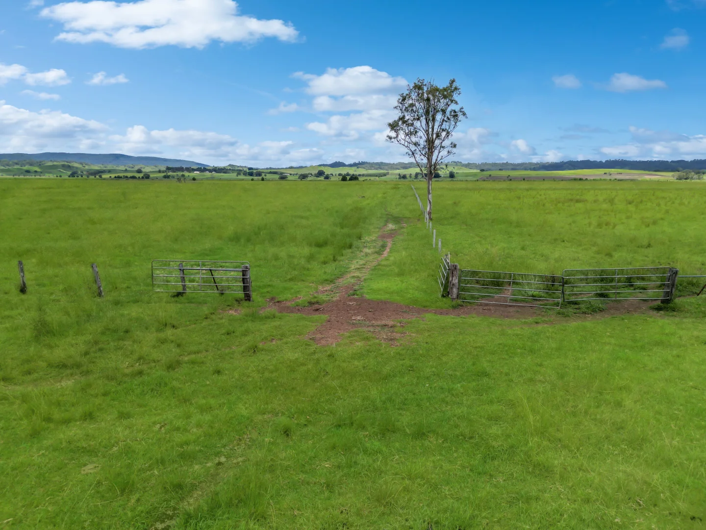 Additional image 5 of 89 O'Connors Road, Fairy Hill NSW 2470