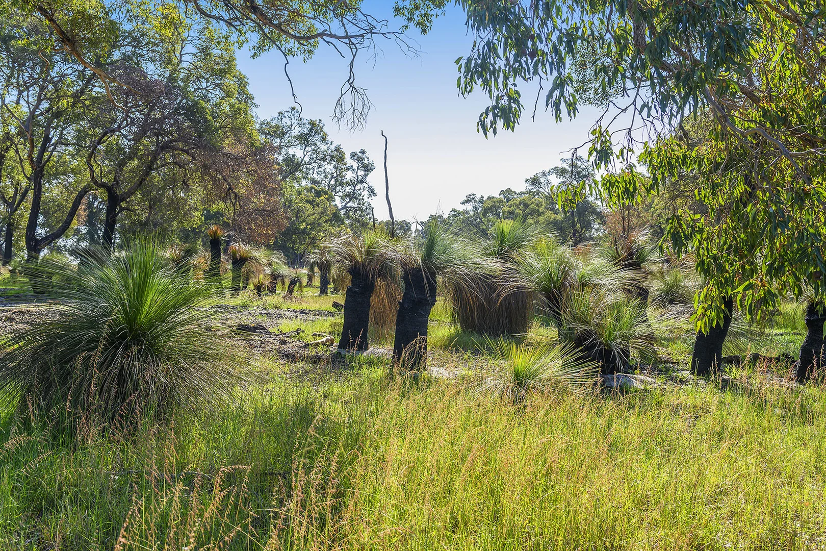Additional image 19 of Guernsey Rise, Lower Chittering WA 6084