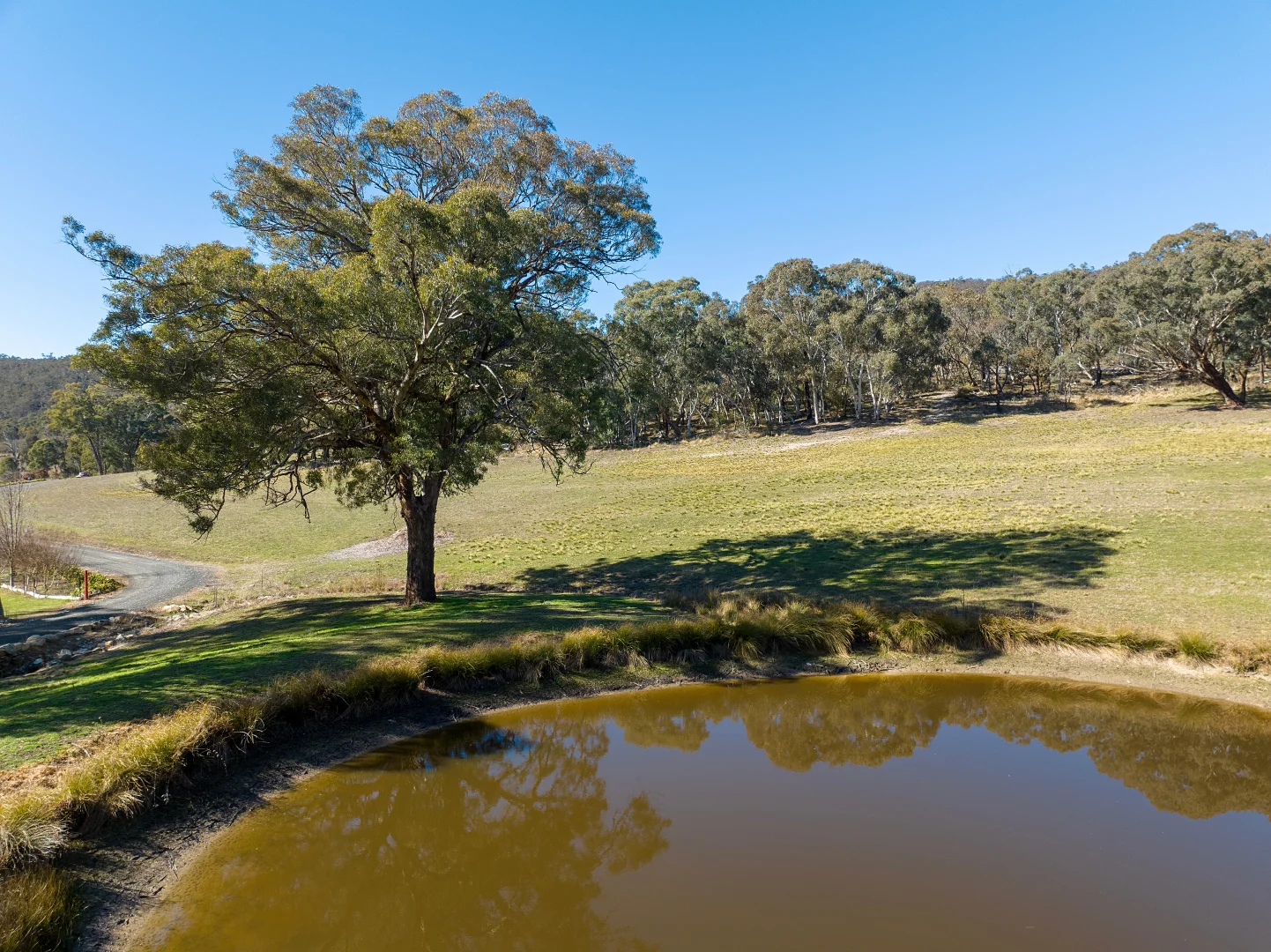 Additional image 19 of 2068 Beaconsfield Road, Wisemans Creek NSW 2795