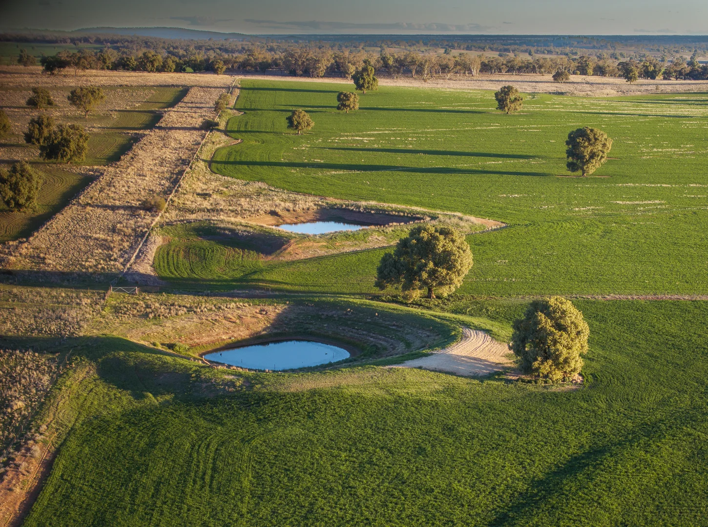 Additional image 9 of Ashford Heath 47 Adios Lane, Bogan Gate NSW 2876