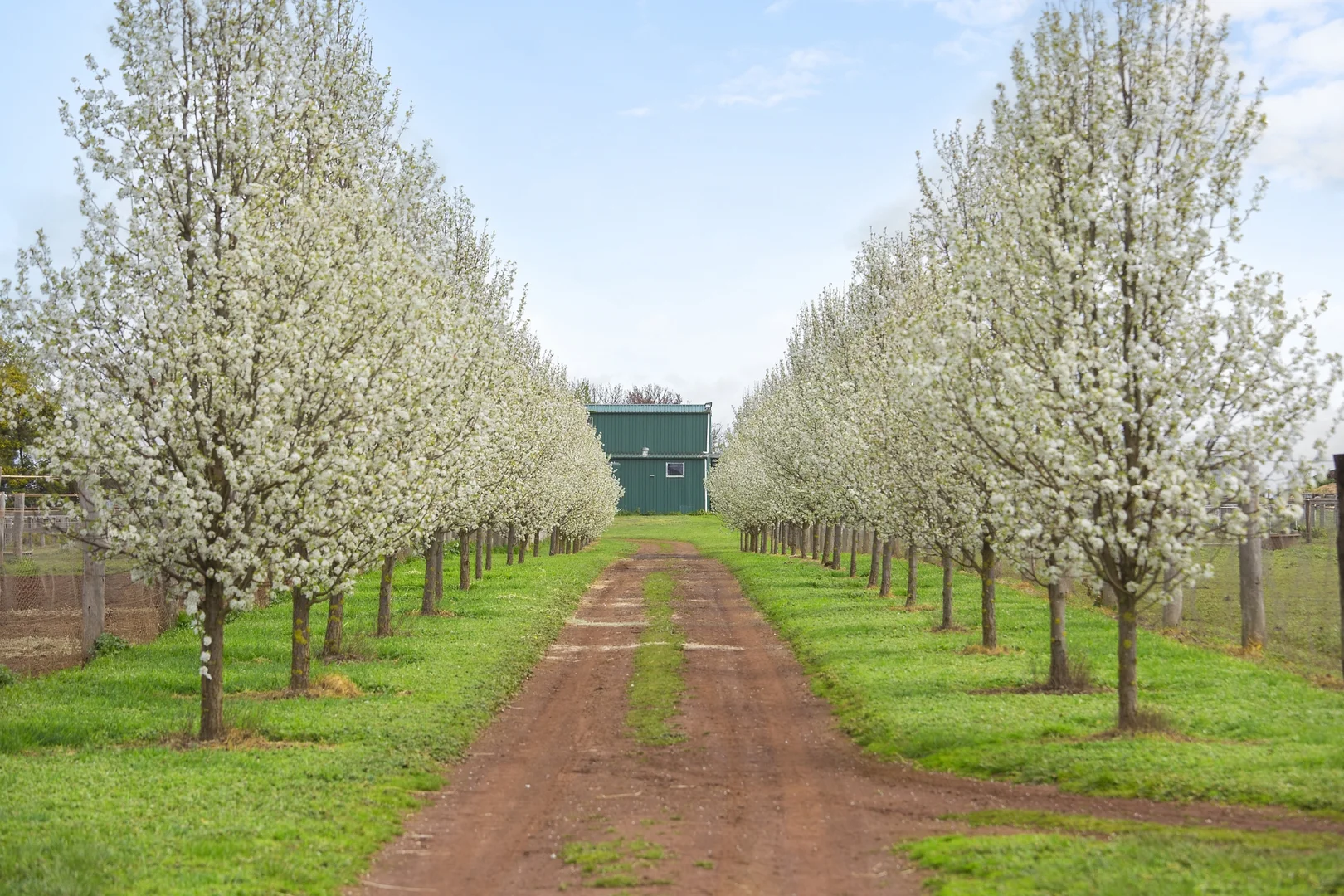 Additional image 22 of 114 Cemetery Road, Smeaton VIC 3364