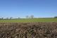 Additional image 119 of Ponthirwaun, Cardigan, SA43