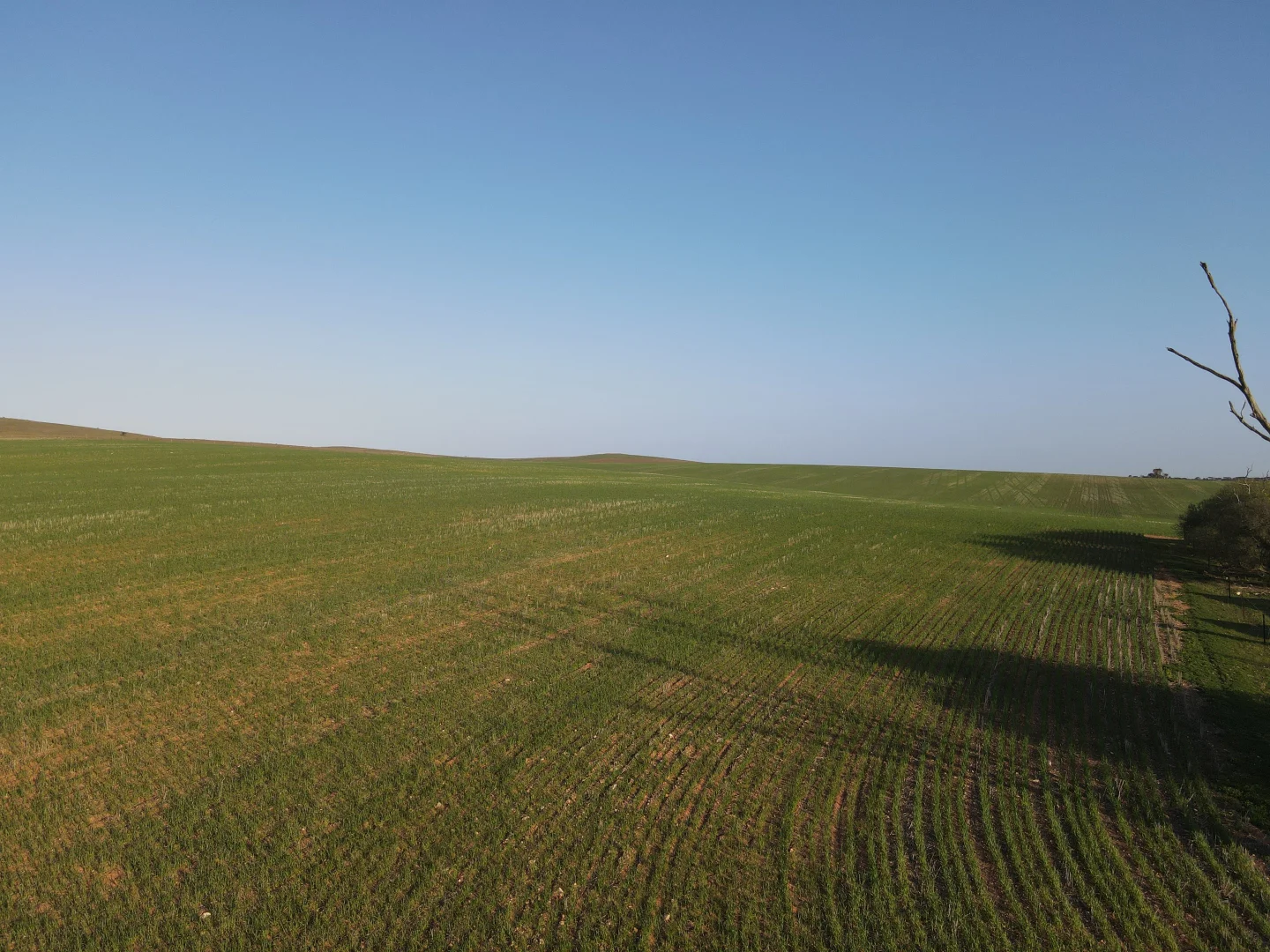 Additional image 13 of 222 Nicholls Rd, Booleroo Centre SA 5482