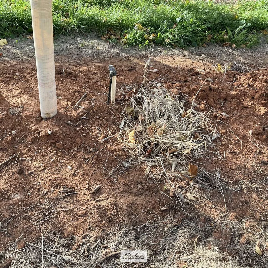 Additional image 19 of 221 & 245 Cowanna Avenue, Merbein South VIC 3505