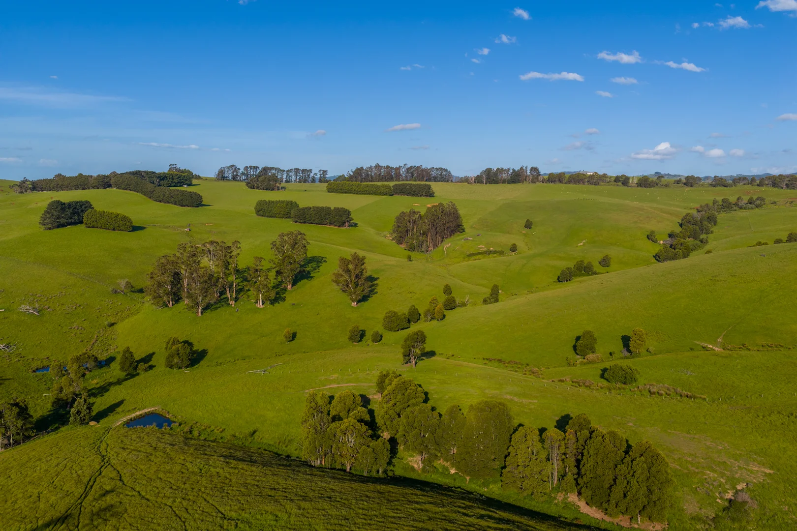 Additional image 18 of 520 Foster Road, Boolarra South VIC 3870