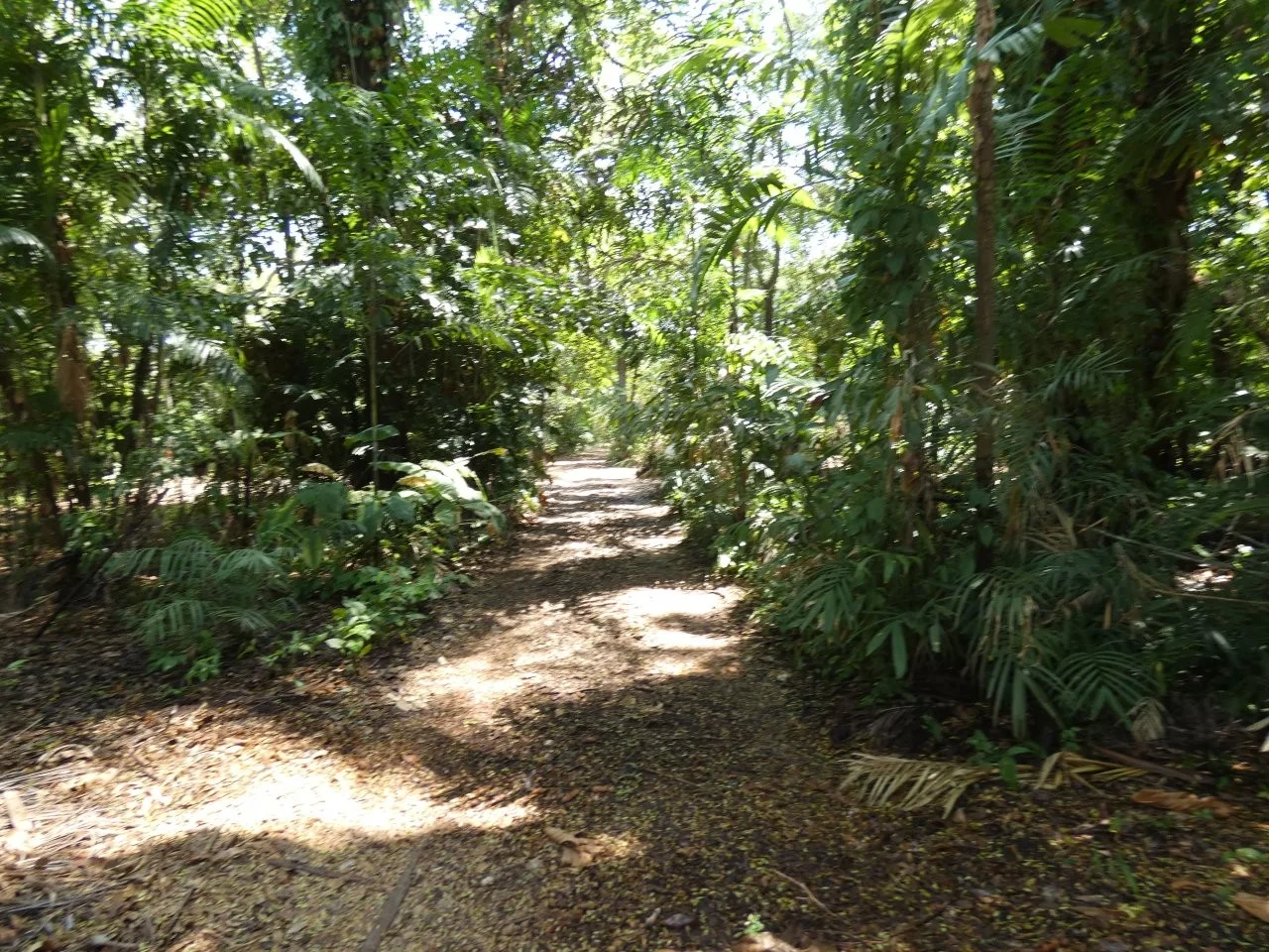 Additional image 22 of Lambells Lagoon NT 0822