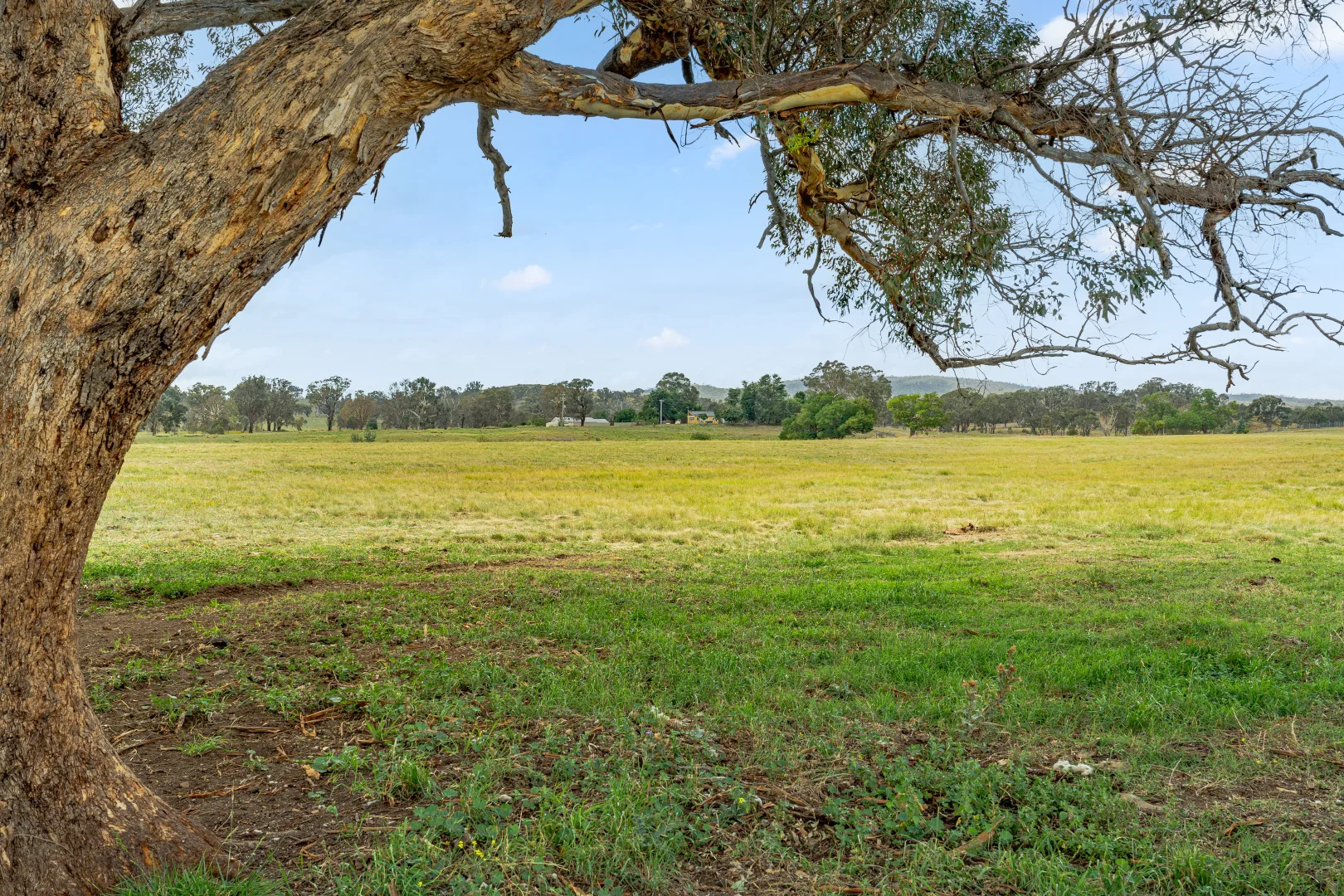 Additional image 46 of 14 Avonley Road, Majura ACT 2609