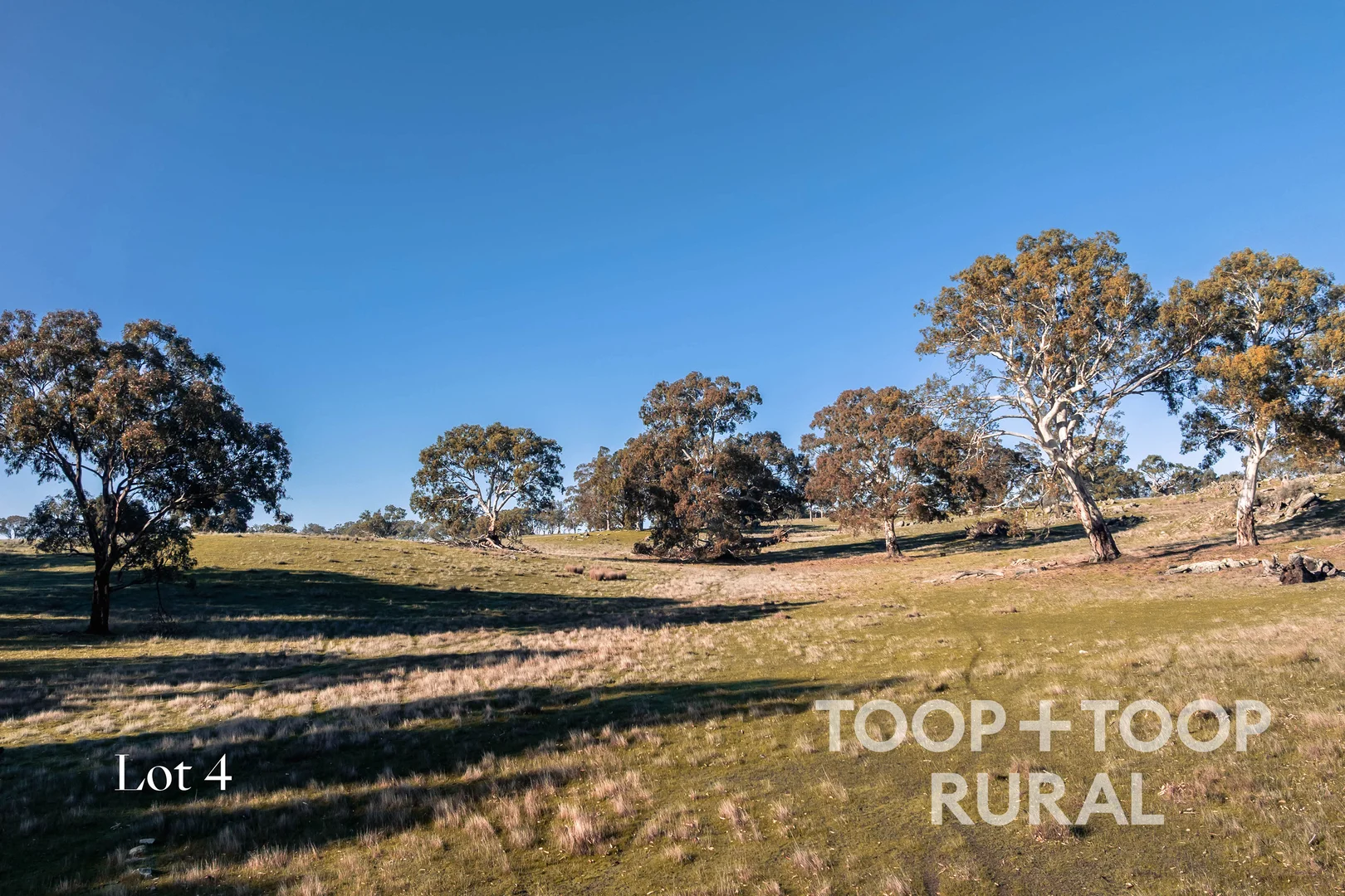 Additional image 13 of 232 Brownes Road, Pewsey Vale SA 5351