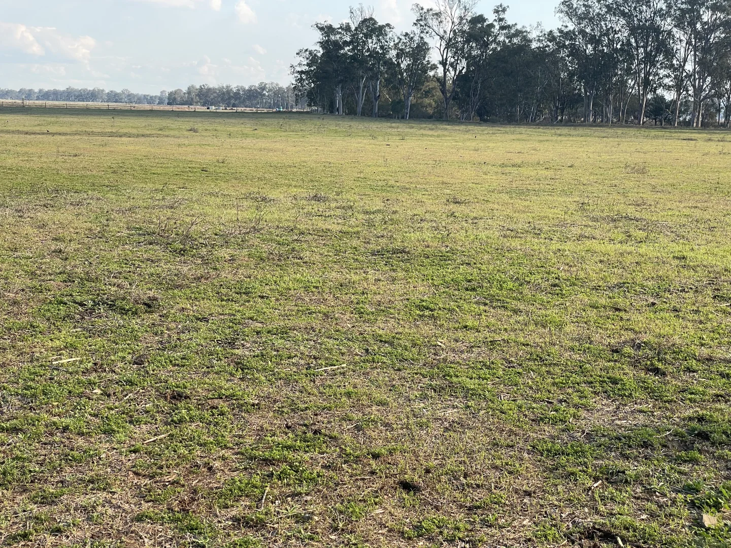 Additional image 3 of 95 Mount Perry Road, Tellebang QLD 4630