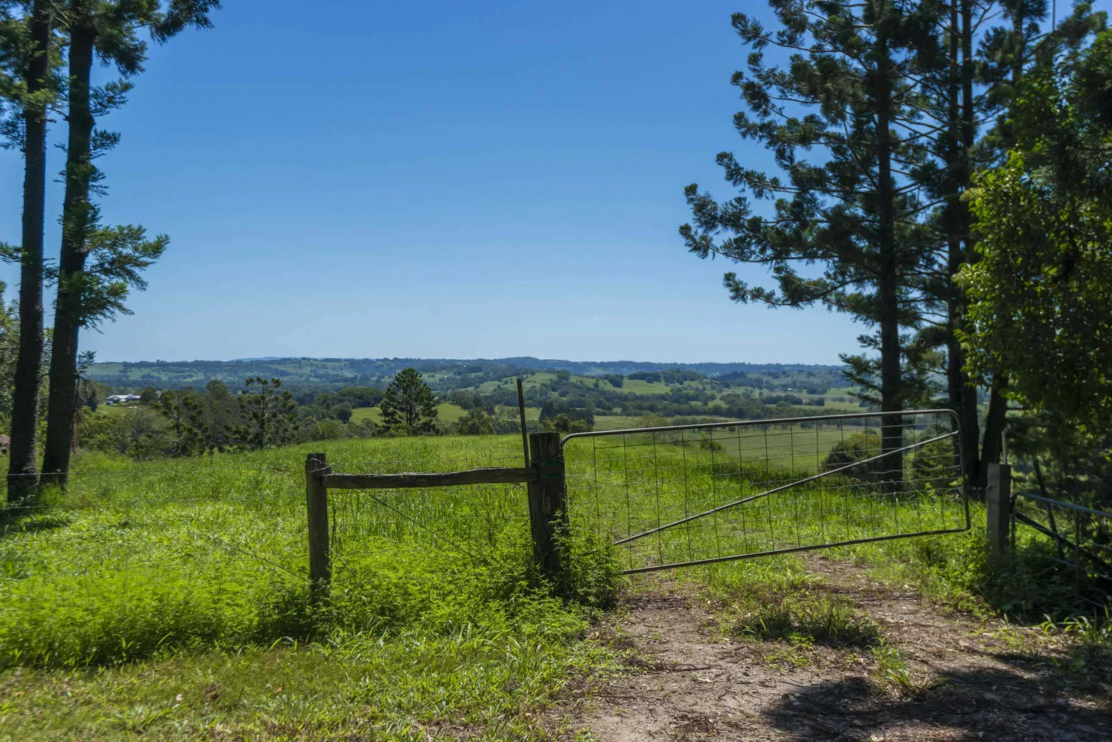 Additional image 2 of McLeans Ridges NSW 2480