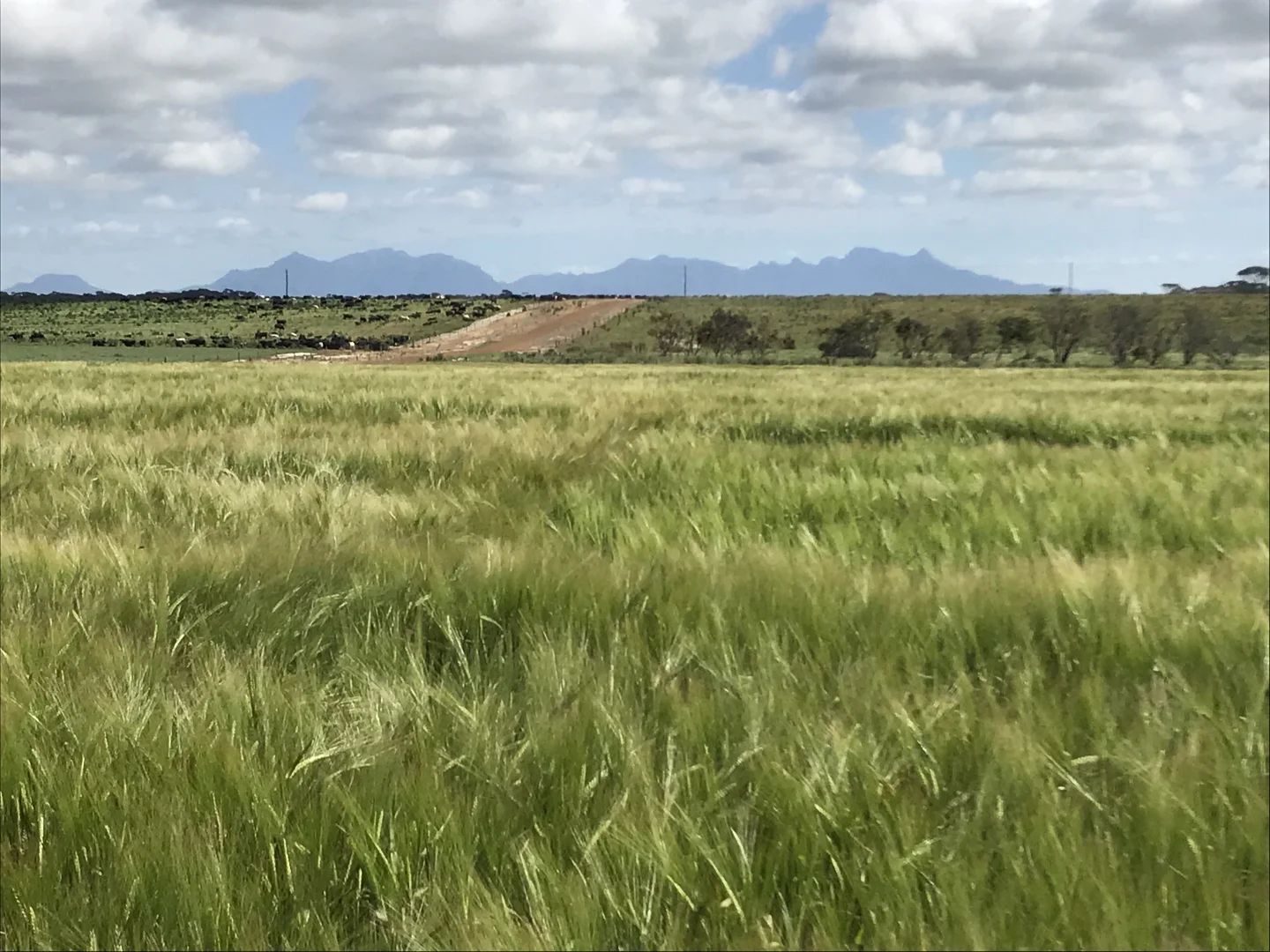 Additional image 21 of 39949 South Coast Highway, Green Range WA 6328