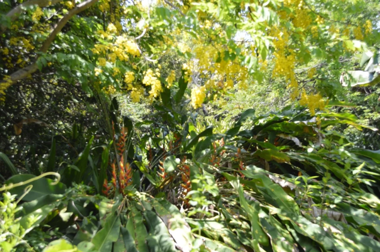 Additional image 4 of Lambells Lagoon NT 0822