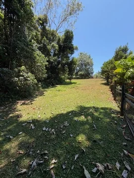 Additional image 23 of 16 Royal Palm Dr, Mission Beach QLD 4852