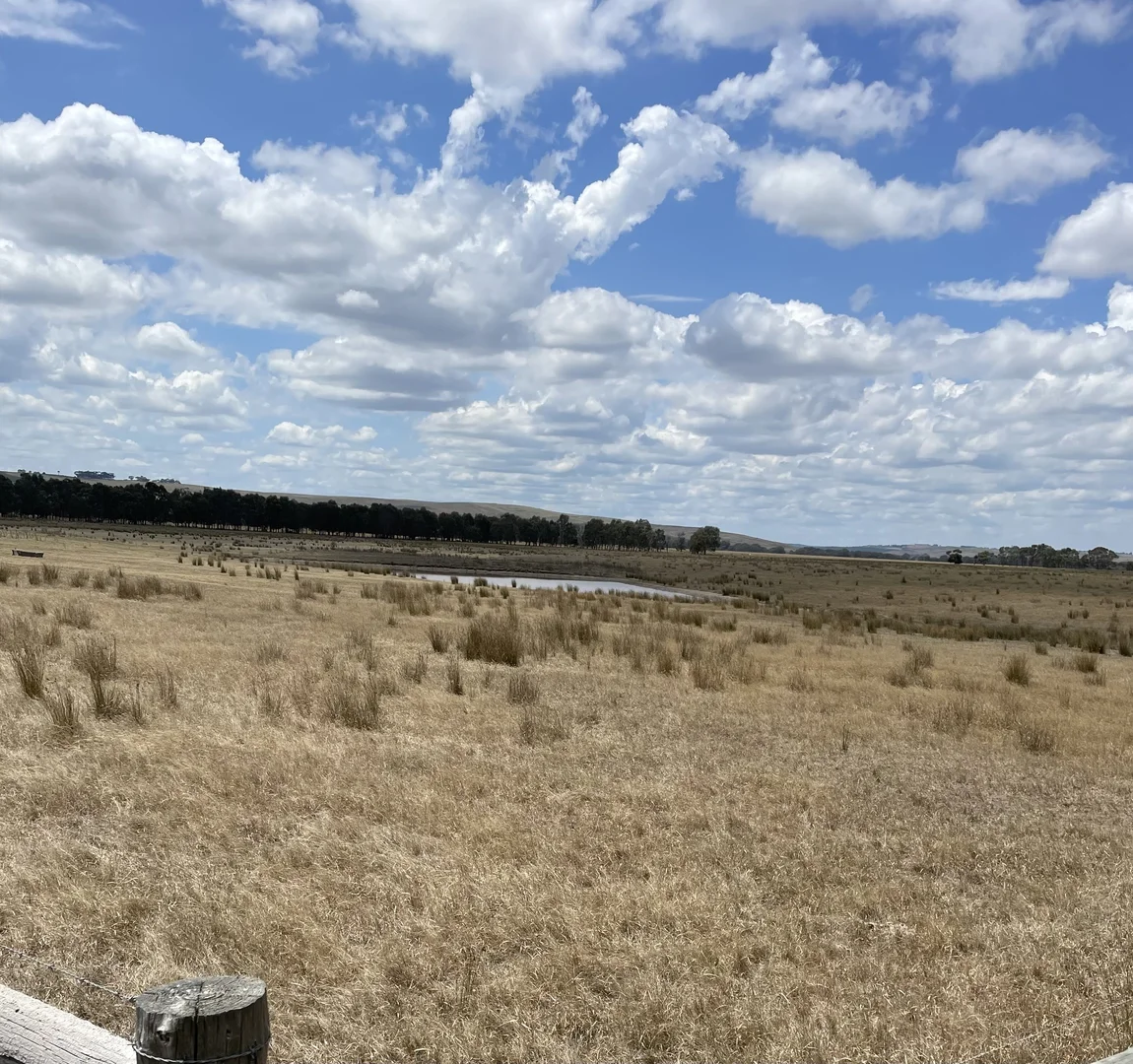 Additional image 5 of Nolans Road, Henty VIC 3312