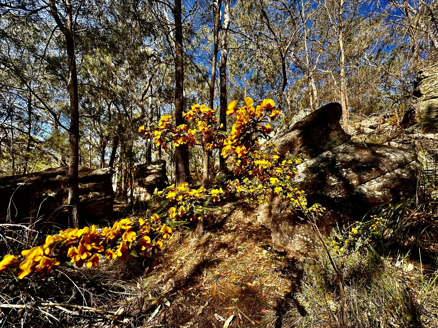 Additional image 24 of 3300 Great North Road, Wollombi NSW 2325