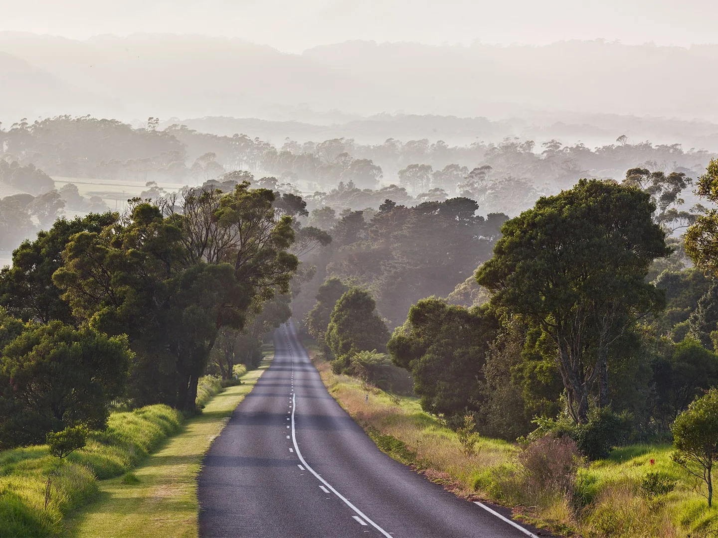 Additional image 13 of 141 Yarrawa Road, Moss Vale NSW 2577