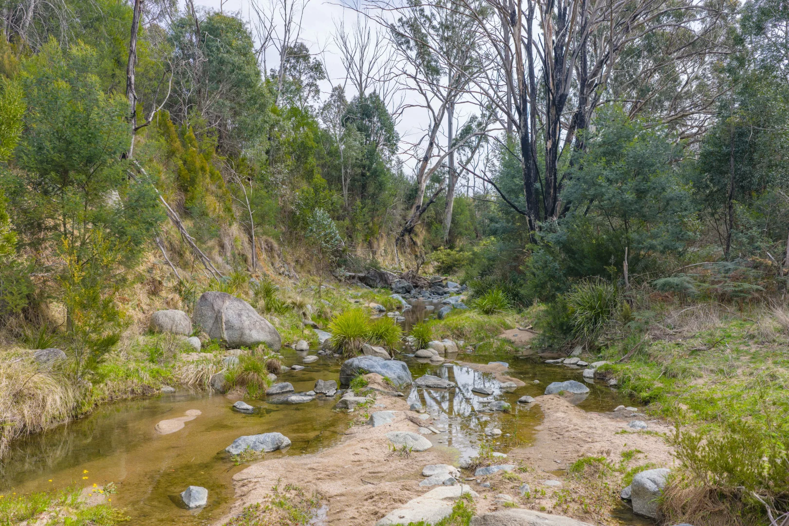 Additional image 4 of 2845 Mount Darragh Road, Wyndham NSW 2550