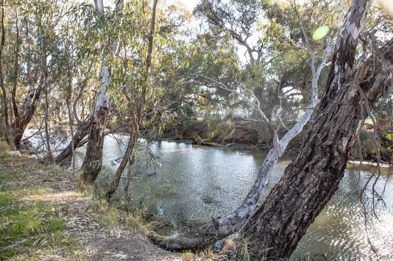 Additional image 7 of 136 GLENVIEW ROAD, Barham NSW 2732