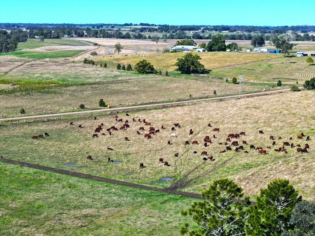 Additional image 4 of 25 Edenville Rd, Stratheden NSW 2470