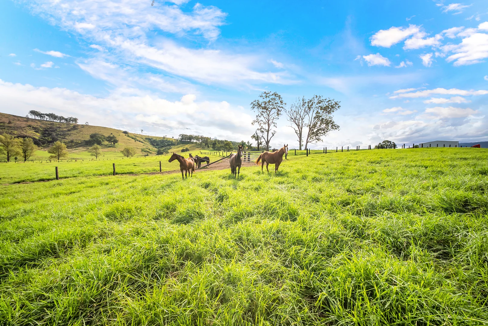 Additional image 19 of 1301 Chichester Dam Road, Bandon Grove, Via, Dungog NSW 2420