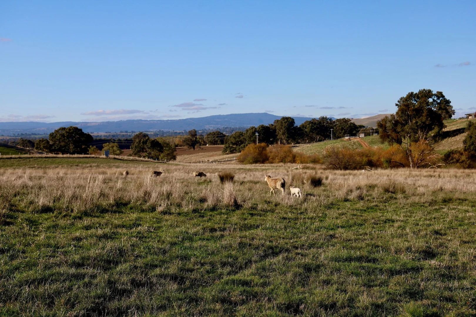 Additional image 5 of 79 Owens Creek Drive, Mansfield VIC 3722