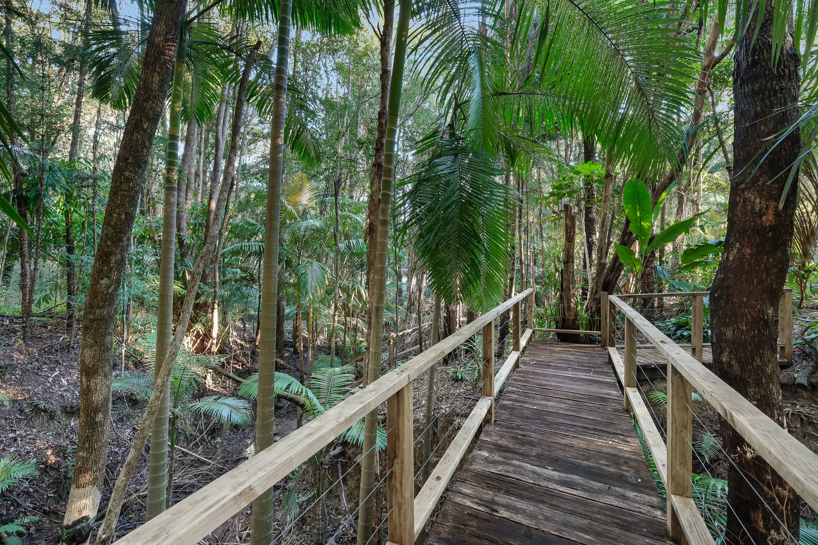 Additional image 26 of 69 Armada Crescent, Currumbin Waters QLD 4223